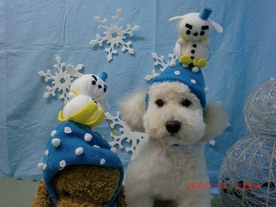 ファイル 6545-1.jpg