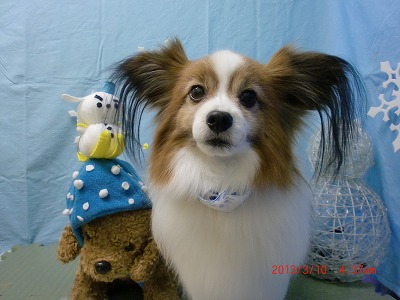 ファイル 6546-2.jpg