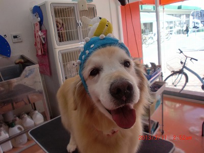 ファイル 6548-1.jpg