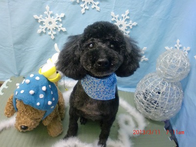 ファイル 6549-1.jpg