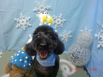 ファイル 6549-2.jpg