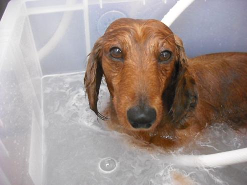 ファイル 655-2.jpg