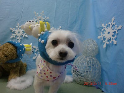 ファイル 6550-1.jpg