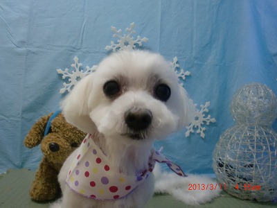 ファイル 6550-2.jpg