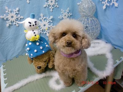 ファイル 6551-1.jpg