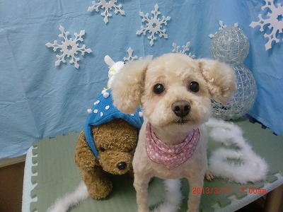 ファイル 6552-2.jpg