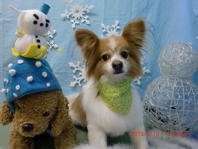 ファイル 6553-2.jpg