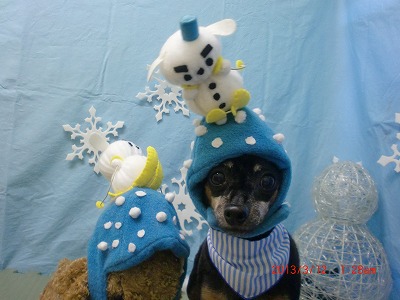 ファイル 6556-1.jpg