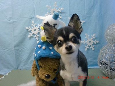 ファイル 6557-2.jpg