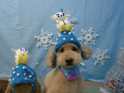 ファイル 6558-1.jpg