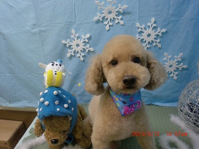 ファイル 6558-2.jpg