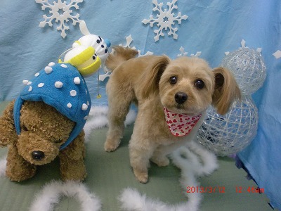 ファイル 6559-1.jpg