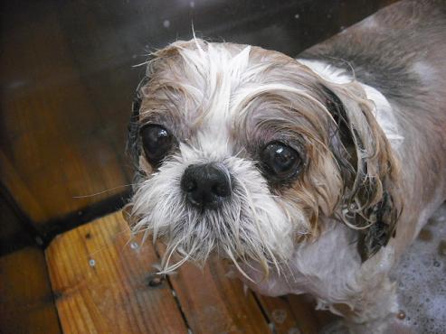 ファイル 656-2.jpg