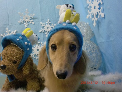 ファイル 6561-1.jpg