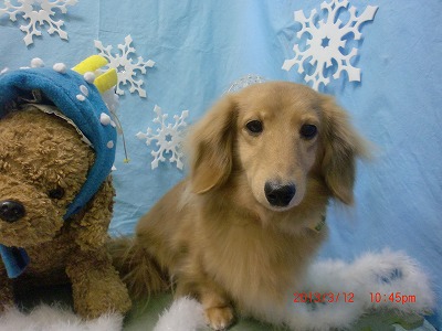 ファイル 6561-2.jpg