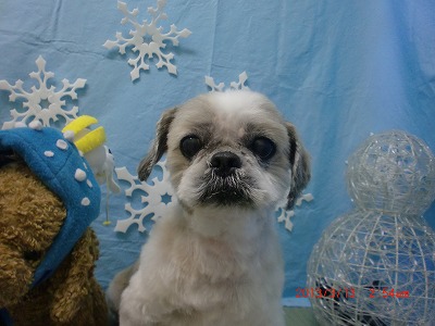 ファイル 6562-1.jpg