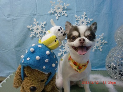 ファイル 6563-2.jpg