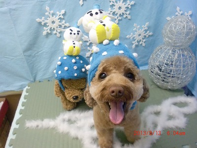 ファイル 6564-1.jpg