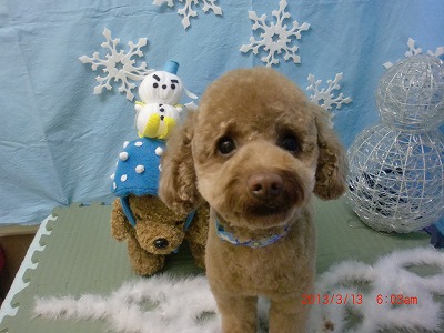 ファイル 6564-2.jpg