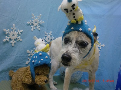 ファイル 6565-1.jpg