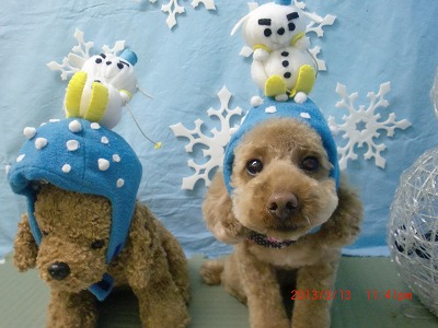 ファイル 6566-1.jpg