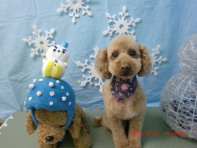 ファイル 6566-2.jpg