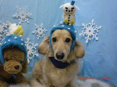 ファイル 6567-1.jpg