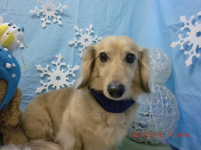 ファイル 6567-2.jpg