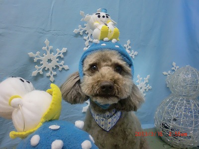 ファイル 6569-1.jpg