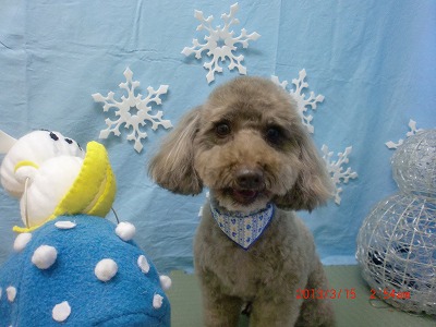 ファイル 6569-2.jpg