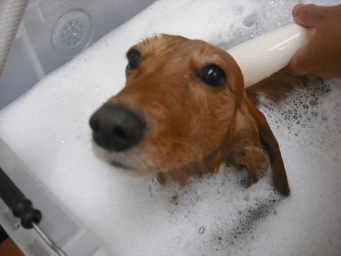 ファイル 657-2.jpg