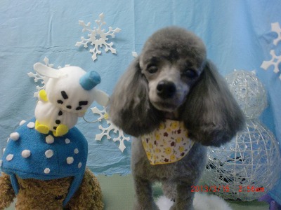 ファイル 6570-2.jpg