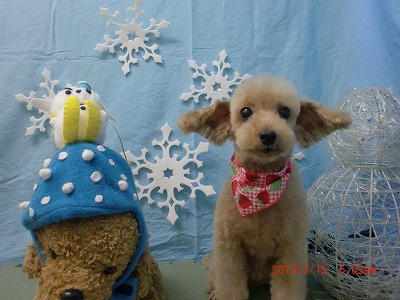 ファイル 6571-2.jpg