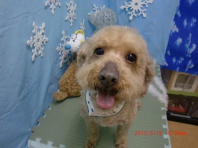 ファイル 6572-1.jpg