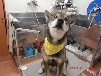 ファイル 6574-1.jpg