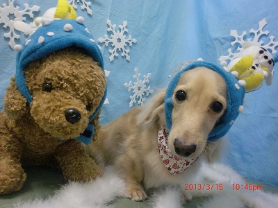 ファイル 6575-1.jpg