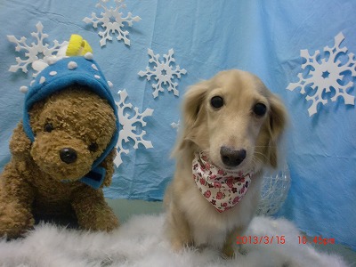 ファイル 6575-2.jpg