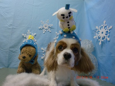 ファイル 6576-1.jpg