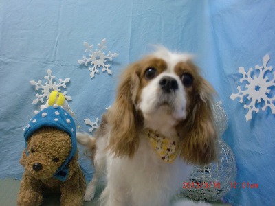 ファイル 6576-2.jpg