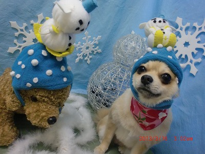 ファイル 6577-1.jpg