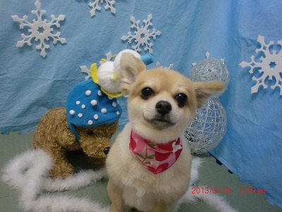 ファイル 6577-2.jpg