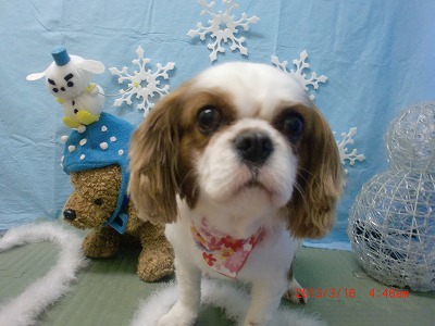 ファイル 6578-2.jpg