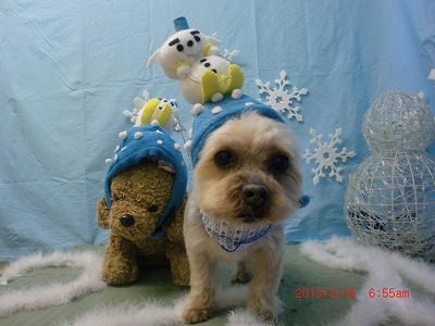 ファイル 6579-1.jpg