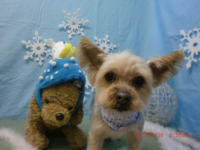 ファイル 6579-2.jpg