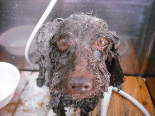 ファイル 658-2.jpg