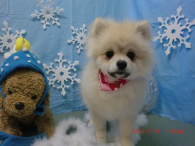 ファイル 6581-1.jpg