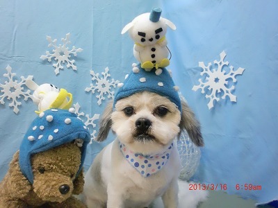 ファイル 6583-1.jpg