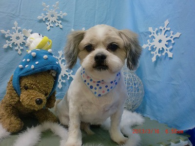 ファイル 6583-2.jpg