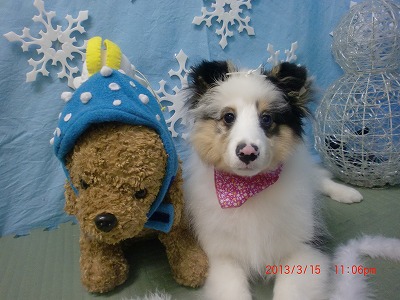 ファイル 6584-2.jpg