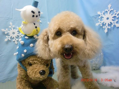 ファイル 6586-2.jpg